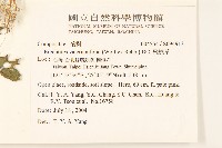 飛機草藏品圖，第2張