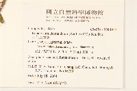 田代氏澤蘭藏品圖，第2張