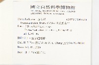 銳葉牽牛藏品圖，第2張
