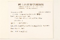 飛機草藏品圖，第2張
