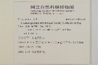 昭和草藏品圖，第2張