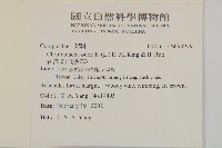 香澤蘭、飛機草藏品圖，第2張