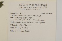 裂葉艾納香藏品圖，第2張