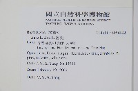 落葵藏品圖，第2張