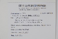 酒丹參、圓葉洋莧藏品圖，第2張