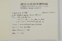 佩羅特木藏品圖，第2張
