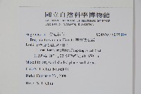 臺灣秋海棠藏品圖，第2張