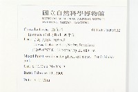 銳葉牽牛藏品圖，第2張