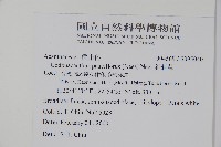 針刺草藏品圖，第2張