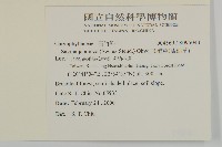 瓜槌草、漆姑草藏品圖，第2張