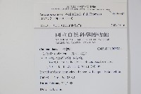 山桔梗藏品圖，第2張