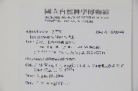 糊樗藏品圖，第2張