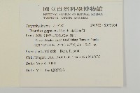 玉山石竹藏品圖，第2張