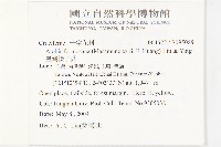 臺灣筷子芥藏品圖，第2張