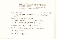 一枝黃花藏品圖，第2張