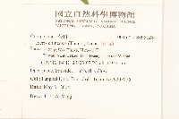 苦滇菜、苦菜藏品圖，第2張