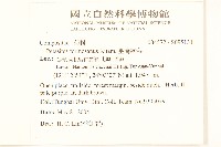 臺灣款冬藏品圖，第2張