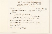 鼠麴草藏品圖，第2張