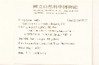 兔仔菜藏品圖，第2張