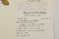 臺灣鬼督郵藏品圖，第2張