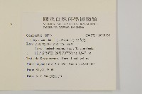加拿大蓬藏品圖，第2張