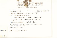鵝仔草藏品圖，第2張