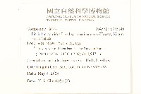 玉山毛蓮菜藏品圖，第2張