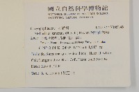阿里山繁縷藏品圖，第2張