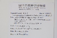 穗花蛇菰藏品圖，第2張