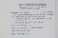 穗花蛇菰藏品圖，第2張