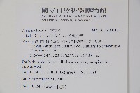 普刺特草藏品圖，第2張