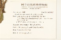紅面番藏品圖，第2張