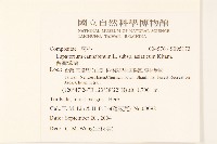 台灣澤蘭藏品圖，第2張