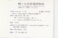 銳葉牽牛藏品圖，第2張