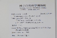 玉山小蘗藏品圖，第2張