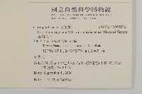玉山卷耳藏品圖，第2張