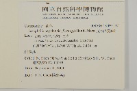 尼泊爾籟簫藏品圖，第2張