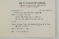 能高籟簫藏品圖，第2張