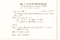 玉山毛蓮菜藏品圖，第2張