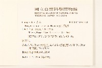 玉山飛蓬藏品圖，第2張