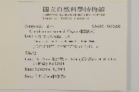 高山艾藏品圖，第2張