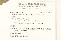 黃菀藏品圖，第2張