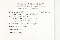 平原菟絲子藏品圖，第2張
