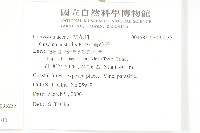 平原菟絲子藏品圖，第2張