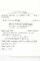 翅果假吐金菊藏品圖，第2張