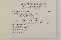鵝兒腸藏品圖，第2張
