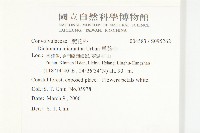 馬蹄金藏品圖，第2張