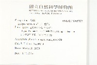 鱧腸藏品圖，第2張