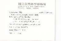 兔仔菜藏品圖，第2張