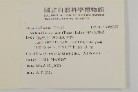 桃色女婁菜藏品圖，第2張